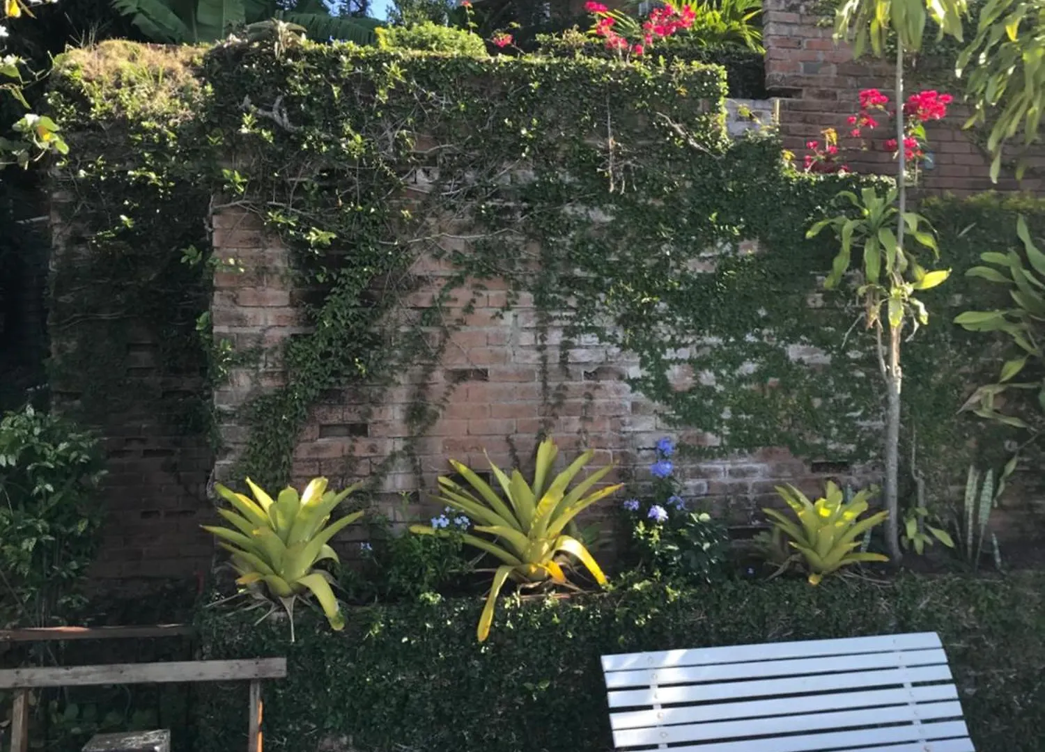Tranquility Estate Bed & Breakfast Kingston