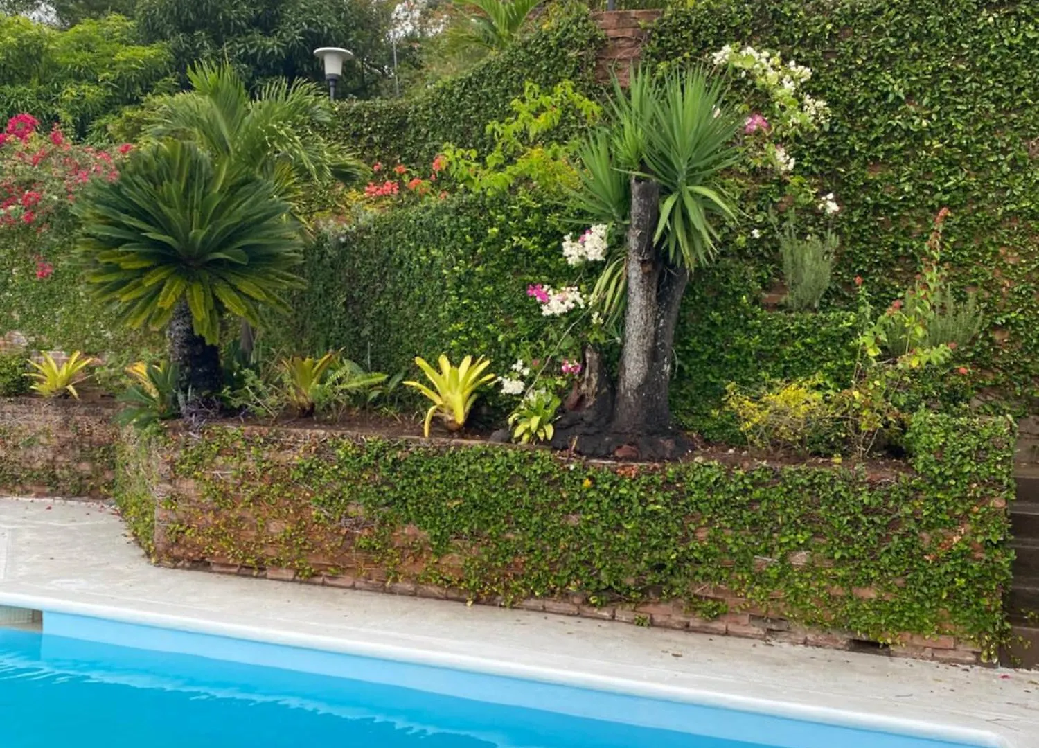 Tranquility Estate Bed & Breakfast Kingston