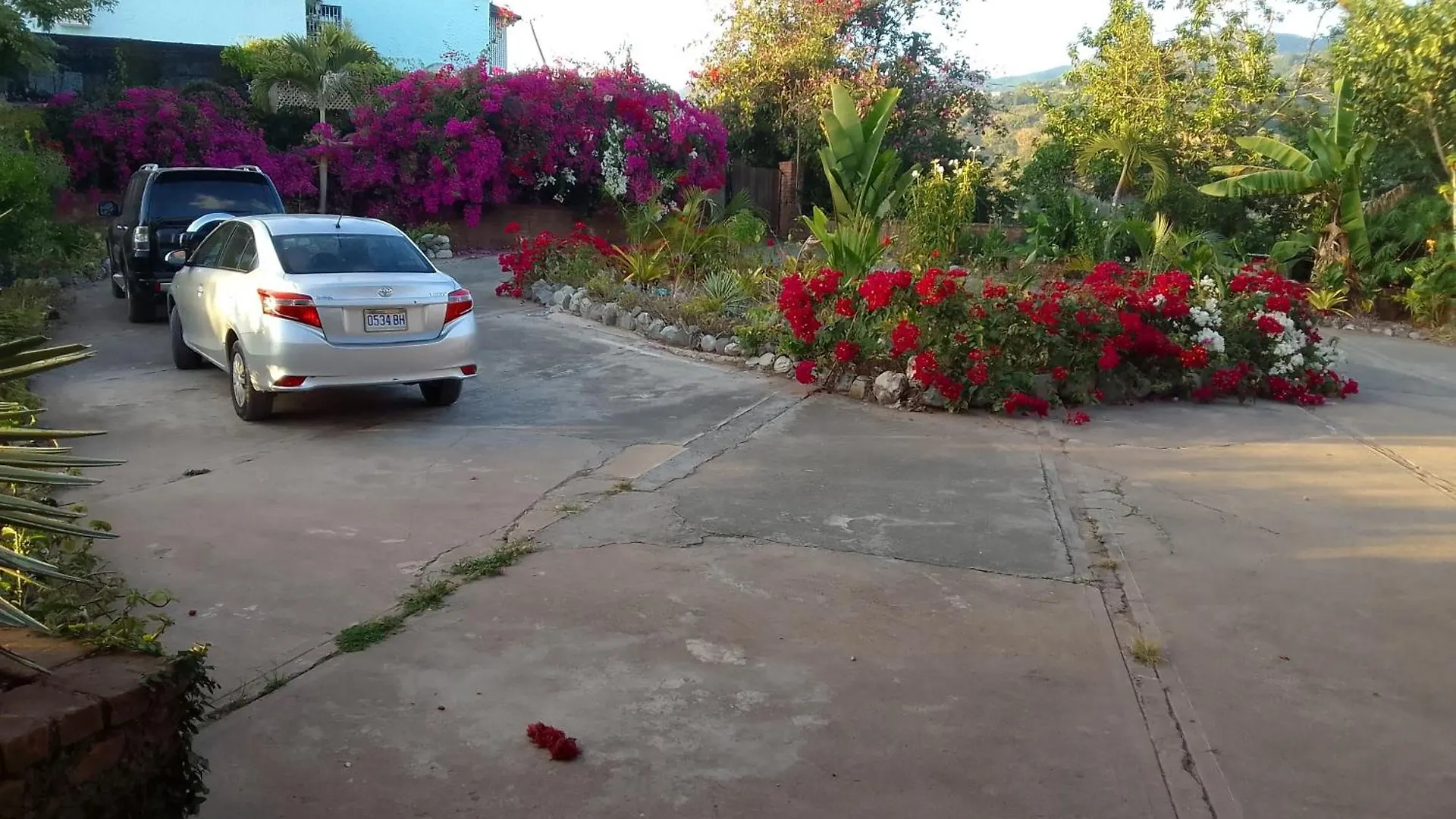 Tranquility Estate Bed & Breakfast Kingston 2*,  Jamaica