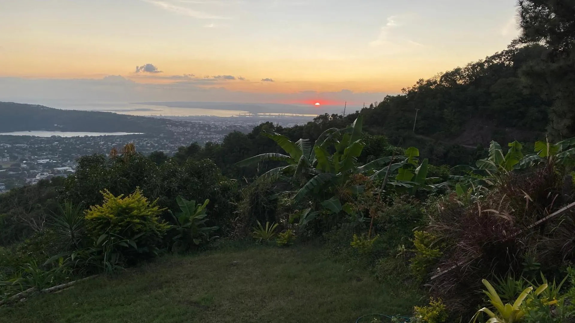 **  Tranquility Estate Bed & Breakfast Kingston Jamaica